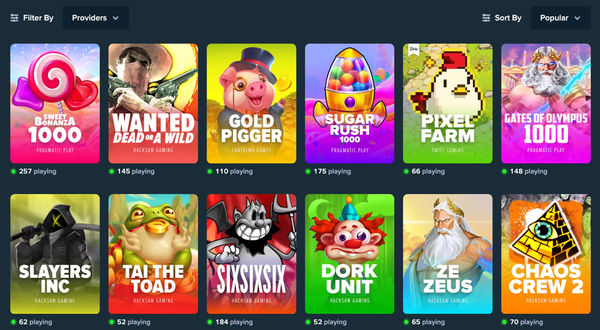 Stake.us Casino Slots Review